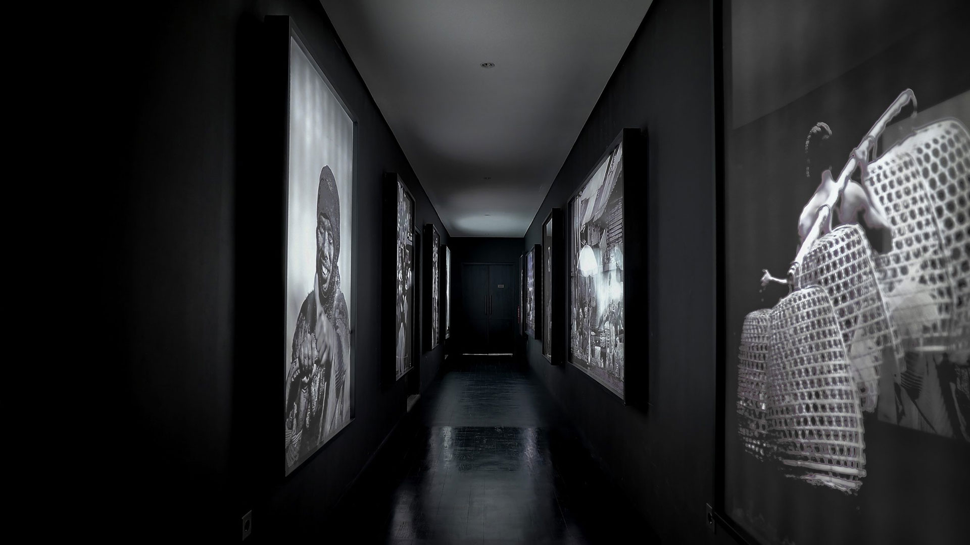 carpedium_4